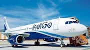 IndiGo gets 24-hour extension from DGCA, must reply by today