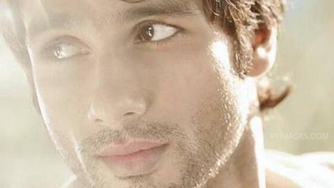 What are the upcoming projects of 'Haider' star Shahid Kapoor? What are the upcoming projects of 'Haider' star Shahid Kapoor?