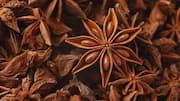 Why aniseed is a skincare must-have 