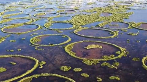 Here's why you should visit the floating islands in Manipur Here's why you should visit the floating islands in Manipur