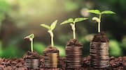 Indian sustainable agriculture bonds: An investor's guide