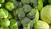 Comparing cabbage and broccoli: Which is healthier?