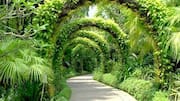 Western Australia's stunning botanical gardens: A list