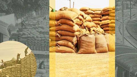 Centre eases ban on wheat export: Here are more details Centre eases ban on wheat export: Here are more details