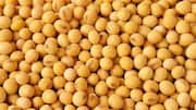 Are soybeans really healthy? 