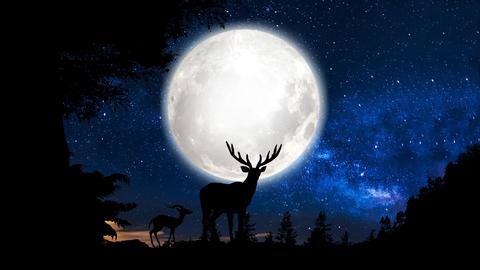 What is Buck Supermoon and how to watch it What is Buck Supermoon and how to watch it