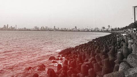 #NewsBytesExplainer: How less tetrapods causing tremors along Mumbai's Marine Drive #NewsBytesExplainer: How less tetrapods causing tremors along Mumbai's Marine Drive
