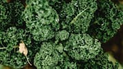 5 vegetables that are naturally high in iron