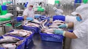 Seafood exporters urged to find new markets amid US tariffs