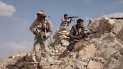 Saudi Arabia proposes 2-week ceasefire in Yemen war