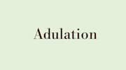Word of the Day: Adulation