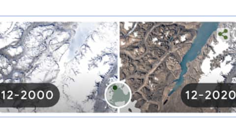 Earth Day Google Doodle: Scary timelapse shows climate change fallout Earth Day Google Doodle: Scary timelapse shows climate change fallout