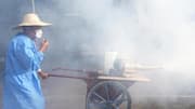 China's efforts to control Chikungunya virus trigger rights infringement debate  