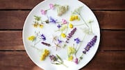 5 edible flowers worth adding to your diet 