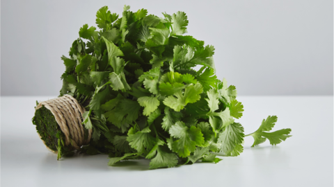 5 aromatic recipes using parsley you must try at home 5 aromatic recipes using parsley you must try at home