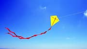 Kite flying is not just a fun activity 