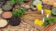 What are adaptogens? 