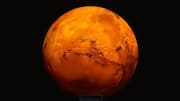 This is how life could survive beneath Mars's surface