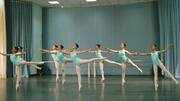 Which is better for flexibility: Tai Chi or Ballet?