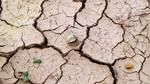 Survey found evidence of depleting water supply