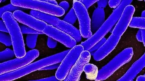 Study: Superbugs kill more in India, twice of high-income countries Study: Superbugs kill more in India, twice of high-income countries