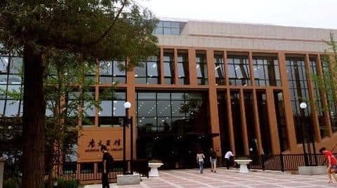 The global top 10 universities in the emerging economies category The global top 10 universities in the emerging economies category