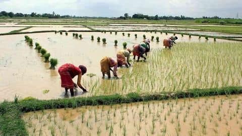 How the PM-KISAN scheme compares with Telangana's Rythu Bandhu scheme How the PM-KISAN scheme compares with Telangana's Rythu Bandhu scheme