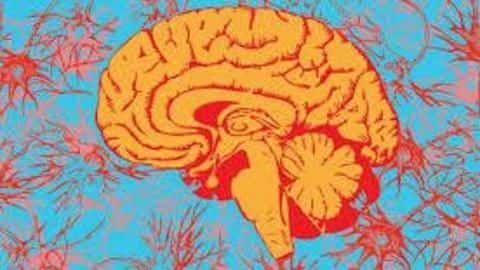 What the researchers found in their study What the researchers found in their study