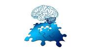 A company which rents brainpower
