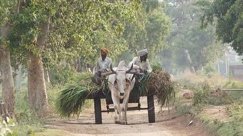 Measures to help the struggling agriculture sector Measures to help the struggling agriculture sector