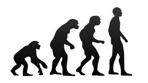 Lab-grown Neanderthal mini-brains might shed more light on human evolution Lab-grown Neanderthal mini-brains might shed more light on human evolution