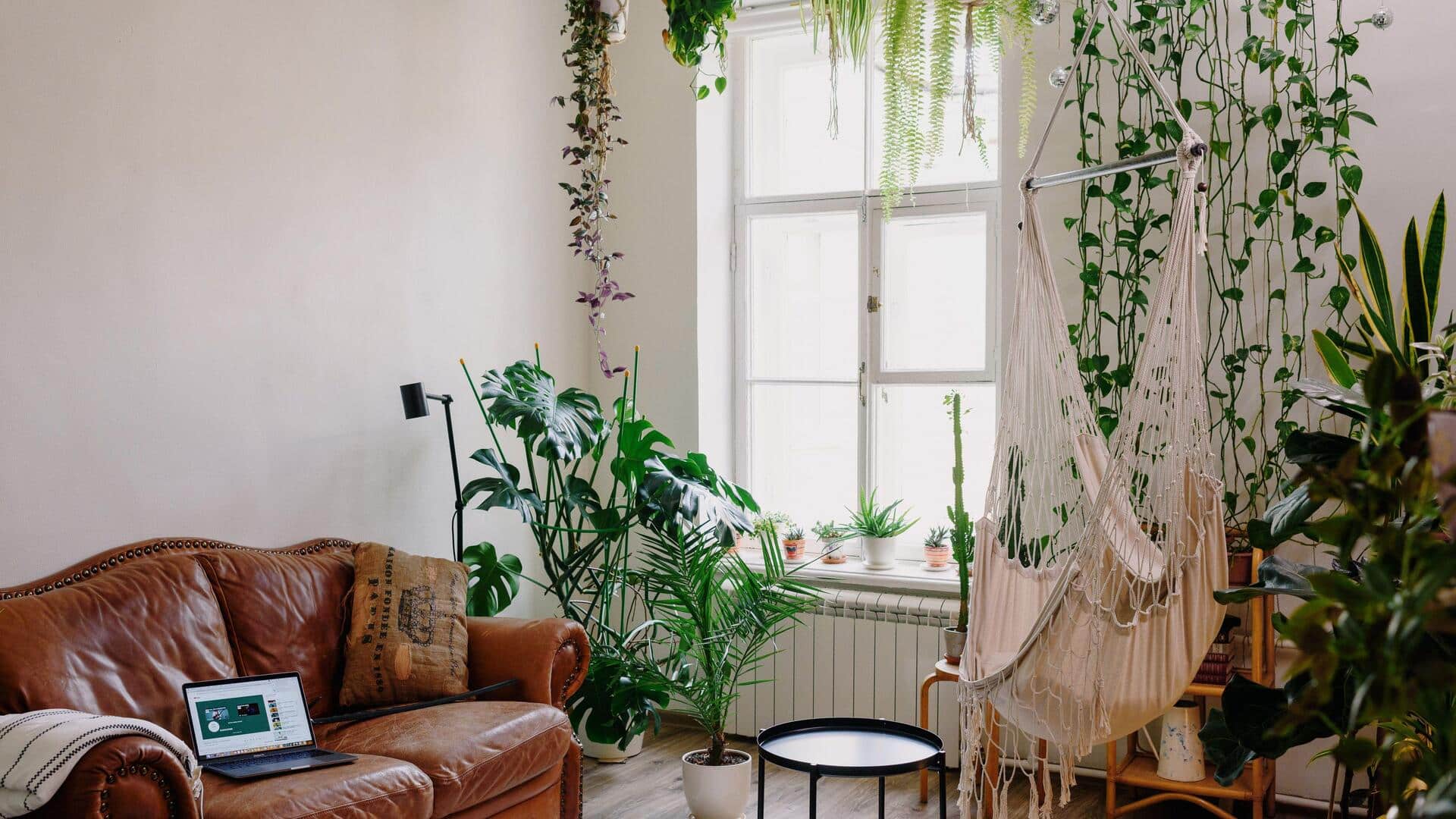 How to create a nature-inspired sanctuary at home