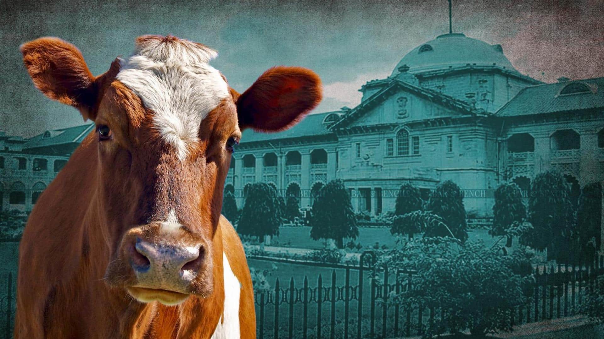 Invoking Hindu scriptures, Allahabad HC judge seeks cow slaughter ban