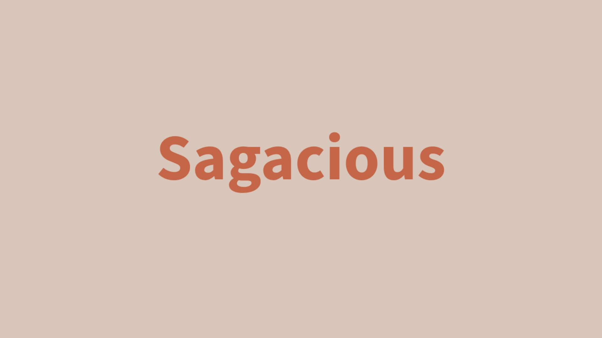 Word of the Day: Sagacious