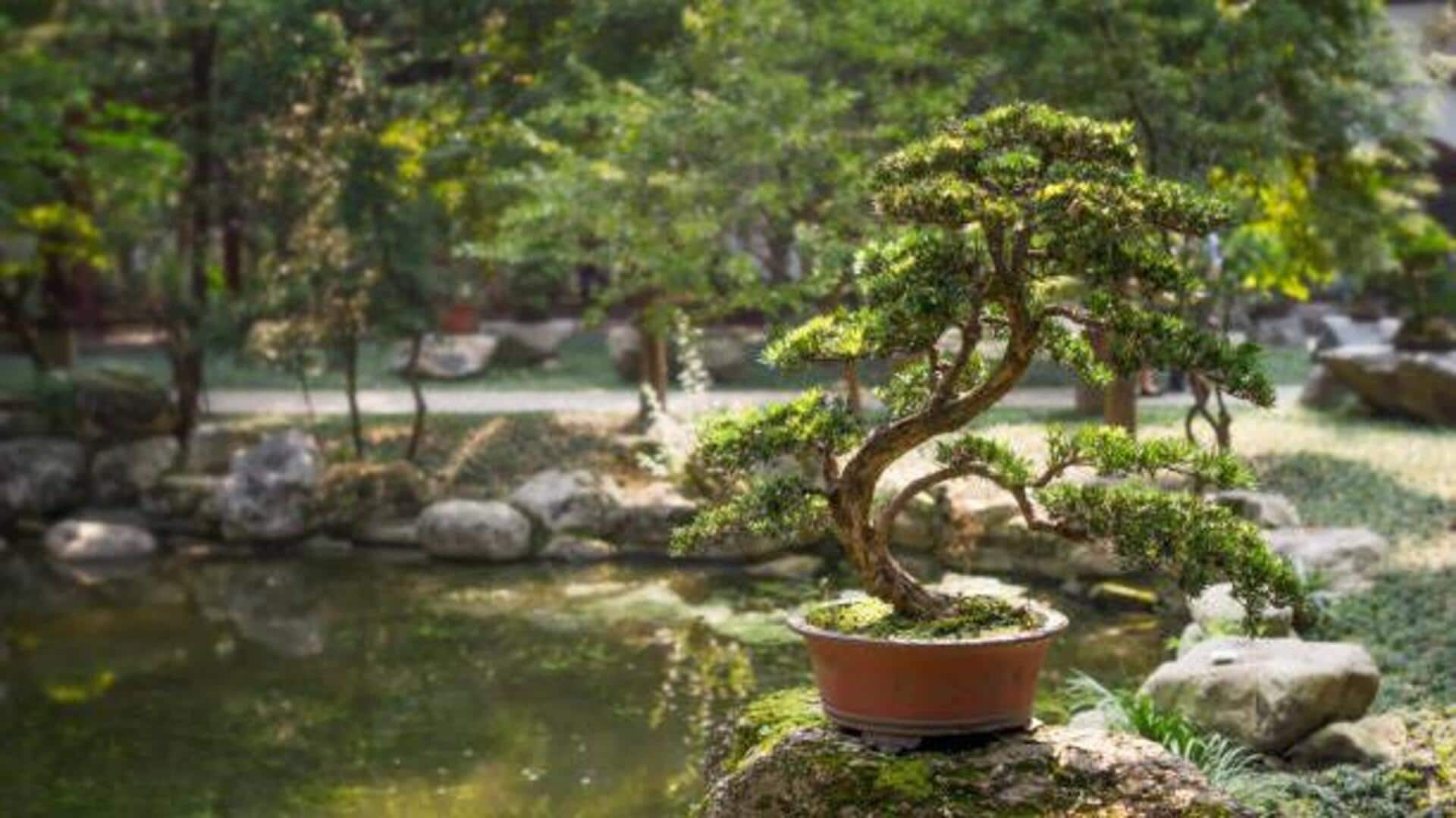 Best bonsai museums and gardens worldwide Best bonsai museums and gardens worldwide