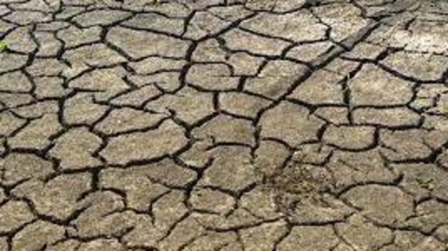 India's 235 districts likely to face drought