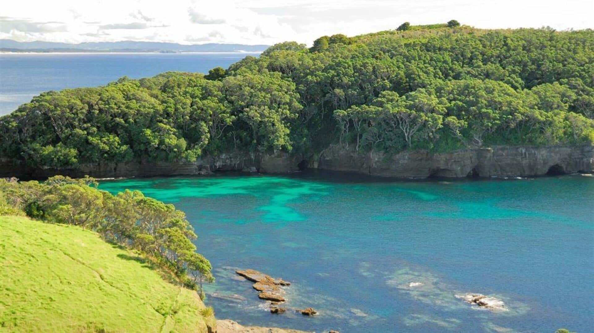 Visiting New Zealand? Don't miss these marine reserves