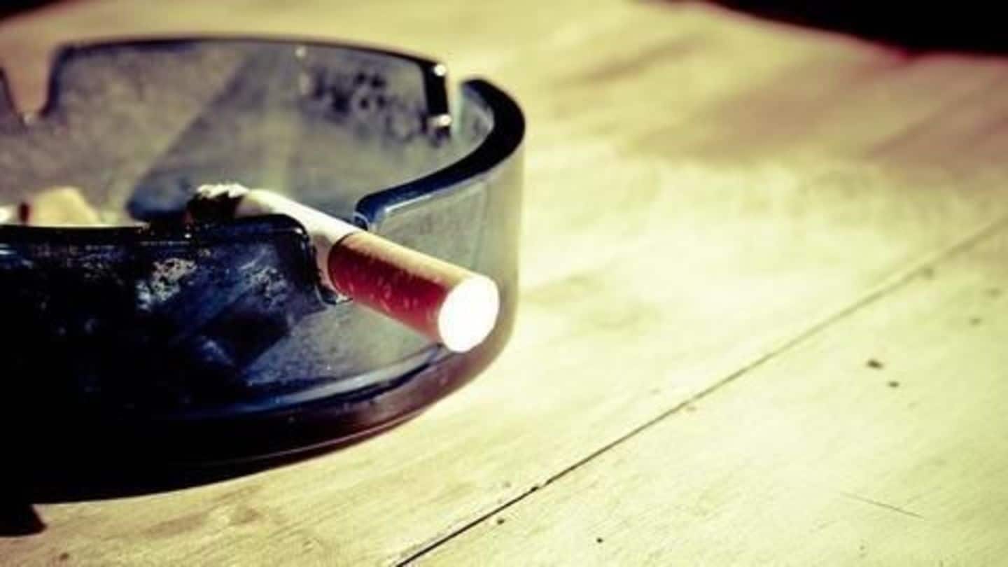 Rajasthan minister says banning tobacco 'foolish'