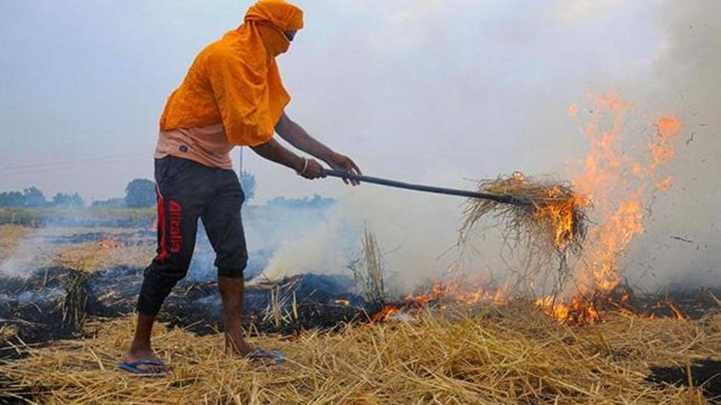 'What's bureaucracy doing?' SC on stubble burning 'What's bureaucracy doing?' SC on stubble burning