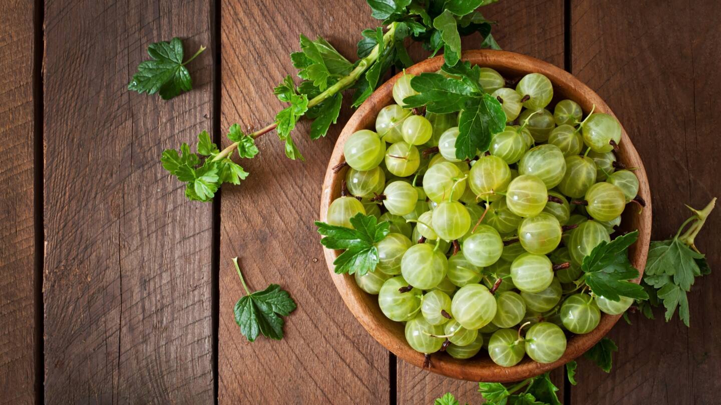 5 unique recipes using amla you must try at home