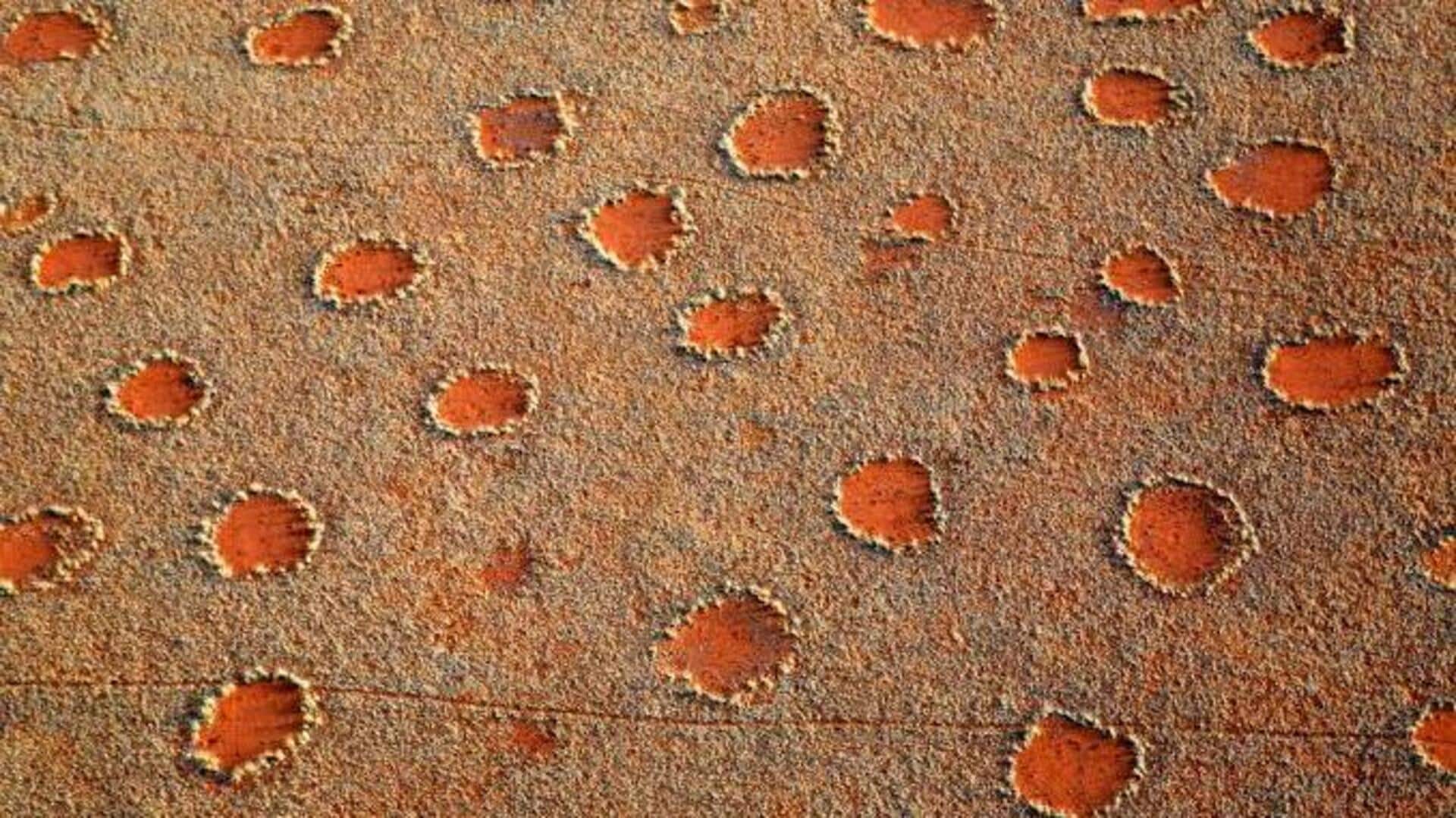 Namibia's fairy circles: A fascinating natural wonder