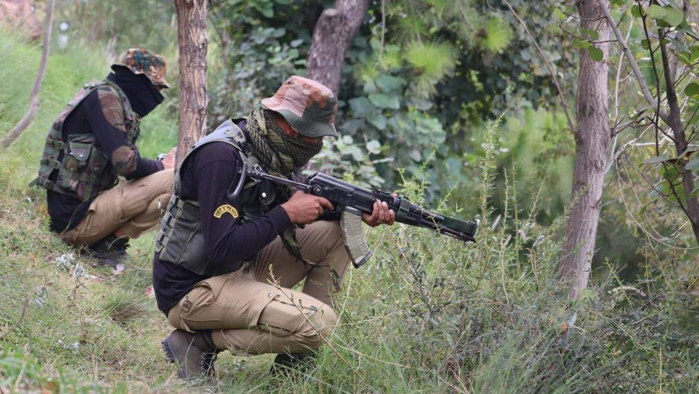 Dense forests, terrain making operation difficult: Army sources Dense forests, terrain making operation difficult: Army sources
