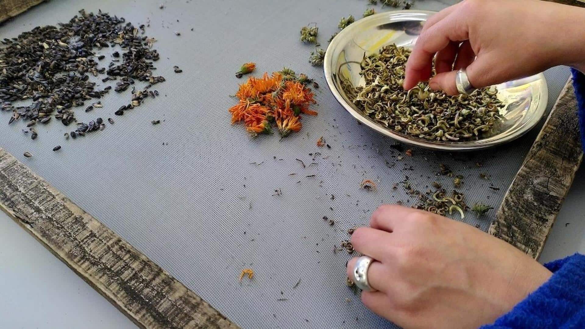 Seed sorting meditation: What it is, why it's important