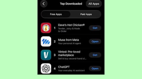 Meta's Muse lost App Store crown to a chicken sandwich 