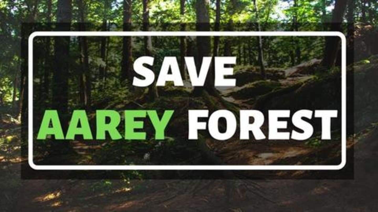 Aarey: No more cutting of trees till October-21, says SC