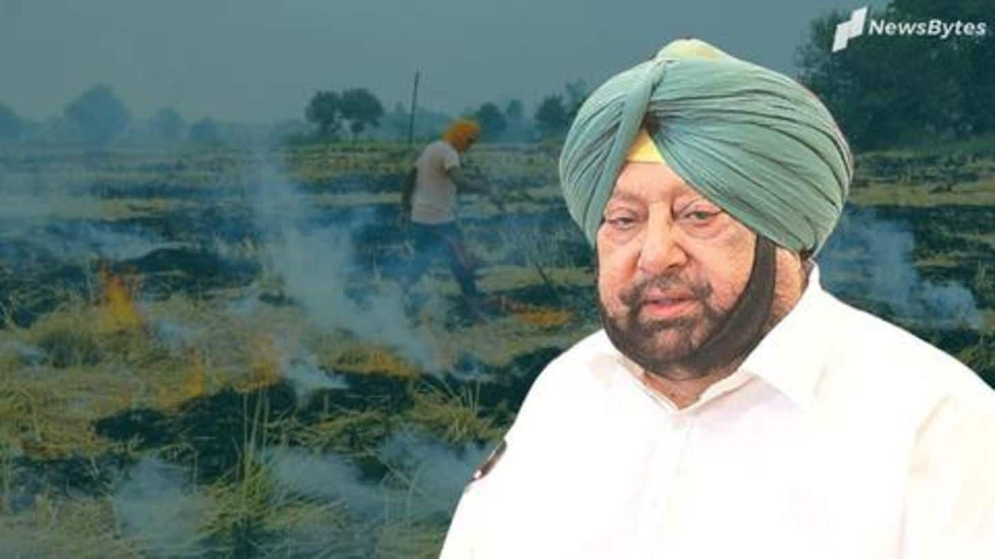 Ignoring SC's warning, stubble burning continues in Punjab, Haryana