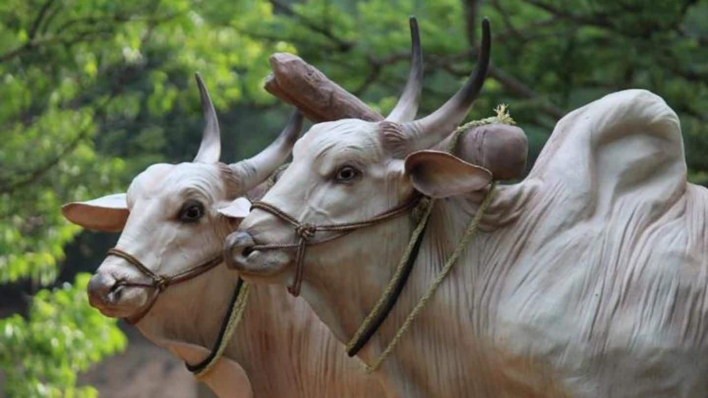 Uttar Pradesh: Three held for alleged cow slaughter