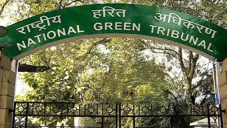 NGT had put odd-even scheme on hold NGT had put odd-even scheme on hold