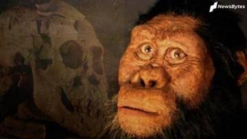 Scientists discover 3.8 million-year-old fossil of ancient human ancestor