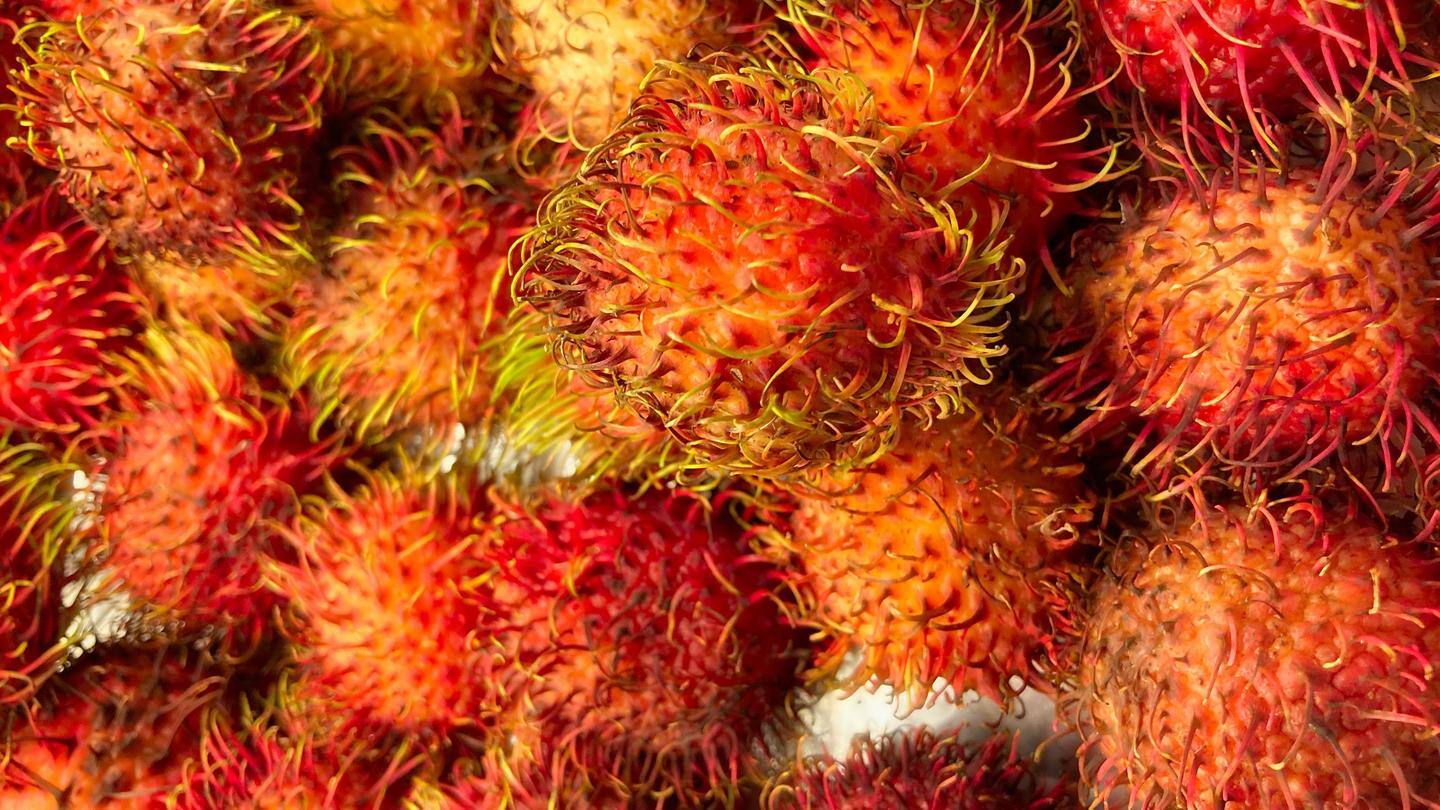 Aids weight loss, improves hair quality: Some benefits of rambutan